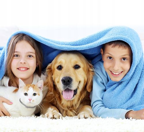 OBROŻA DLA PSA NA PCHŁY KLESZCZE 8 MSC UNIWERSALNA na Arena.pl