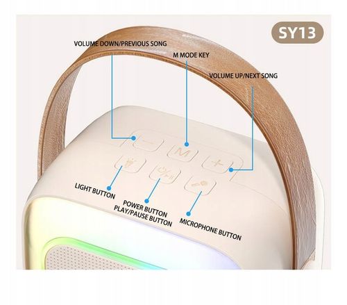 PRZENOŚNY GŁOŚNIK ZESTAW KARAOKE BEZPRZEWODOWY MIKROFON BLUETOOTH USB na Arena.pl