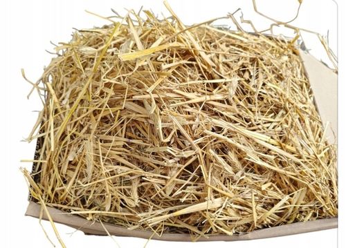 Słoma na kompost, do budy, Legowisko dla psa, Ściółka Dla Gryzoni, 80L na Arena.pl