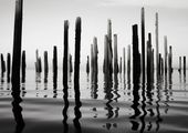 Plakat 29,7x21cm Refleksje Nad Wodą