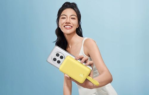 BASEUS MAGNETYCZNY POWERBANK 10000MAH ŁADOWANIE INDUKCYJNE 30W MAGSAFE na Arena.pl