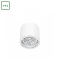 Oprawa Natynkowa Tuba Nieruchoma Chloe AR111 GU10 250V IP65 Biały SpectrumLED SLIP005031