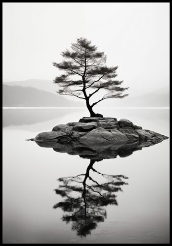 Plakat 68x98cm Samotne Drzewo na Arena.pl