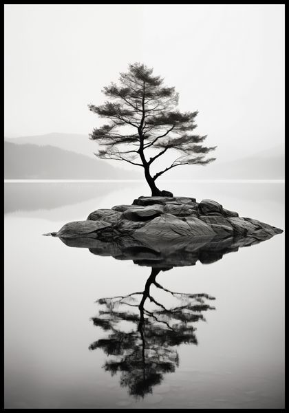 Plakat 68x98cm Samotne Drzewo zdjęcie 2