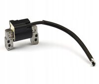 CEWKA ISKROWNIK B&S BRIGGS Quantum 625 650 675 800