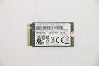 Lenovo UMIS AM620 256G PCIe 2242 SSD, 5SS0W76183