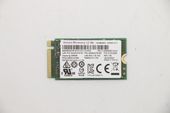Lenovo UMIS AM620 256G PCIe 2242 SSD, 5SS0W76183