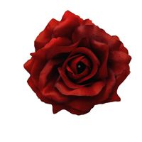 Sonia wyrobowa dk. flame