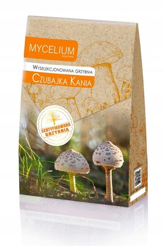 Grzybnia CZUBAJKA KANIA 120ml wyselekcjonowana na Arena.pl