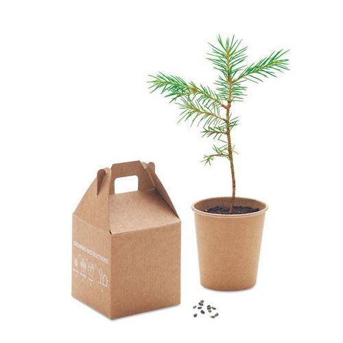 Zestaw sosnowy na Arena.pl