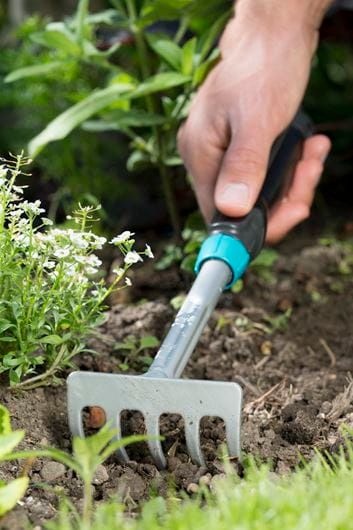 GRABKI - HG-08958-20 zdjęcie 4