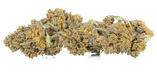 CBD SUSZ KONOPNY | AK 47 | PREMIUM 2g na Arena.pl