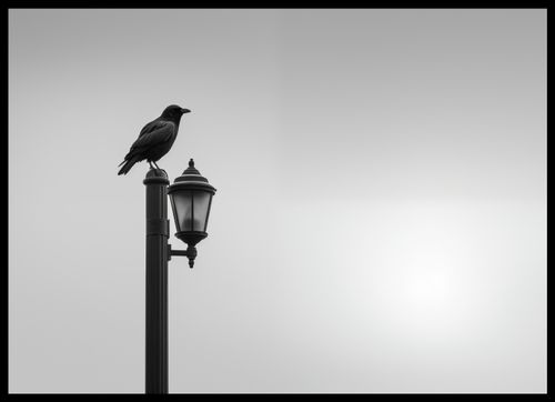 Plakat 70x50cm Samotny Postój Kruka na Arena.pl
