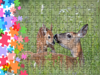 Puzzle tradycyjne Zwierzęta - Sarna