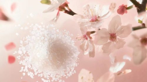 Rituals THE RITUAL OF SAKURA Sugar Body cukrowy peeling do ciała 250 g na Arena.pl