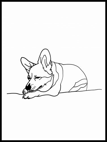 Plakat 60x80cm Śpiący Corgacz na Arena.pl