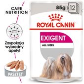 royal canin ccn exigent pasztet 12x85g
