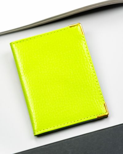 etui na karty skórzane 302-bl-green na Arena.pl