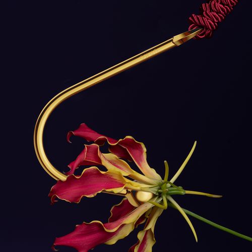 upko vaginal/anal hook na Arena.pl