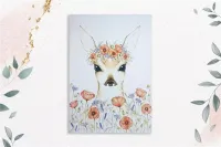 product-compare-60951494