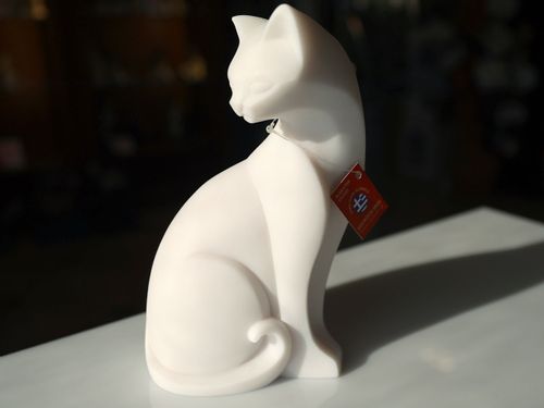 Kot duży na Arena.pl