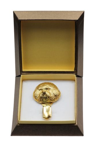 Bichon Frise - klips - 2600 na Arena.pl