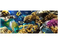 100X40CM RAFA KORALOWA OBRAZ DREWNO