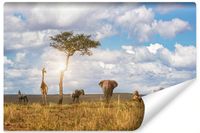 Fototapeta Ścienna ZWIERZĘTA Safari Słońce Natura 450cm x 300cm