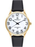 Zegarek Męski PERFECT GXB452-11