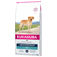 eukanuba adult labrador retriever 12kg