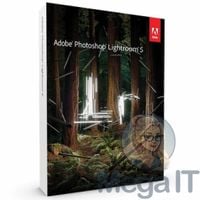 Photoshop Lightroom 5 - Licencja Wieczysta (LifeTime) - Windows - Użytkownik Indywidualny - BOX (ESD)