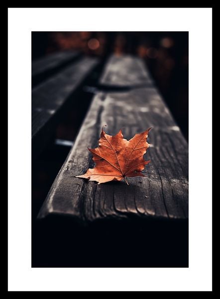 Plakat 20x30cm Pojedynczy Liść zdjęcie 3