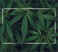 Tło do fotografii produktowej kulinarnej Flat Lay