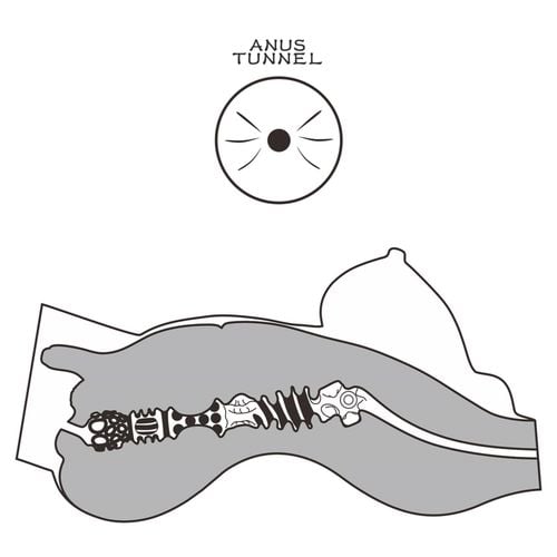 streetgirls #8 na Arena.pl