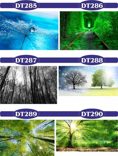 FOTOTAPETY 3d wodospad las drzewa 250x200 na Arena.pl