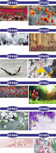 fototapety FOTOTAPETA na wymiar KWIAT kamienie SPA na Arena.pl