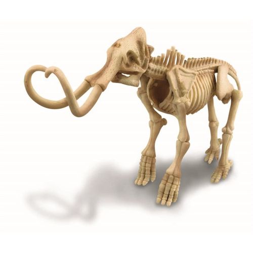 4M - Wykopaliska Mamut 3236 na Arena.pl