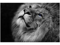 60X40CM SREBRNY LEW NIEBIESKIMI OCZYMA OBRAZ