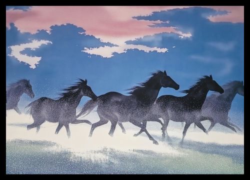 Plakat 42x29,7cm Wolność i Swoboda na Arena.pl