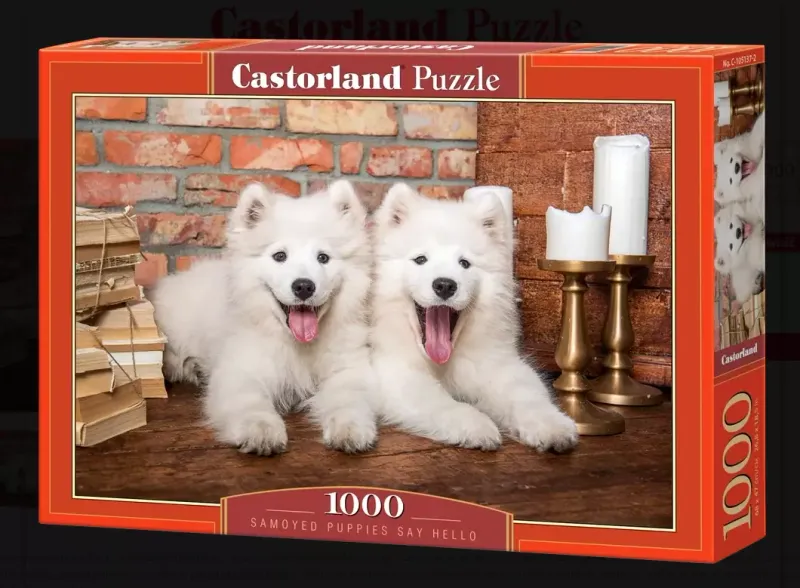 Samoyed Puppies Say Hello zdjęcie 1