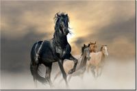 product-compare-58694983