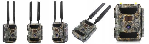 Kamera Leśna FOTOPUŁAPKA Myśliwska FHD GSM 4G LTE MMS wysyła FILMY na Arena.pl