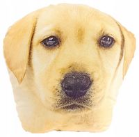 Poduszka dziecięca Mikrofibra 40x40 Greno piesek Golden Dog