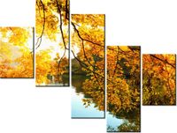 product-compare-58707527