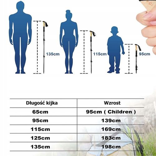 Kijki do Chodzenia Trekingowe Nordic Walking Kije Trekkingowe Teleskopowe na Arena.pl