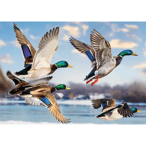 Puzzle 1000 elementów. Premium Plus Quality. Krzyżówki w locie na Arena.pl