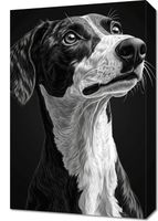 Obraz 40x60cm Portret Zwierząt do Salonu Pokoju | Greyhound | Czarno Białe