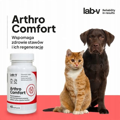 Lab-V Arthro Comfort pies i kot 90 kapsułek na Arena.pl