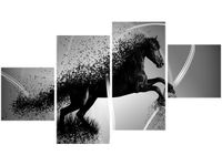 product-compare-58695163