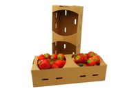 Kobiałka tekturowa eko 117x73x282 a'20 na owoce